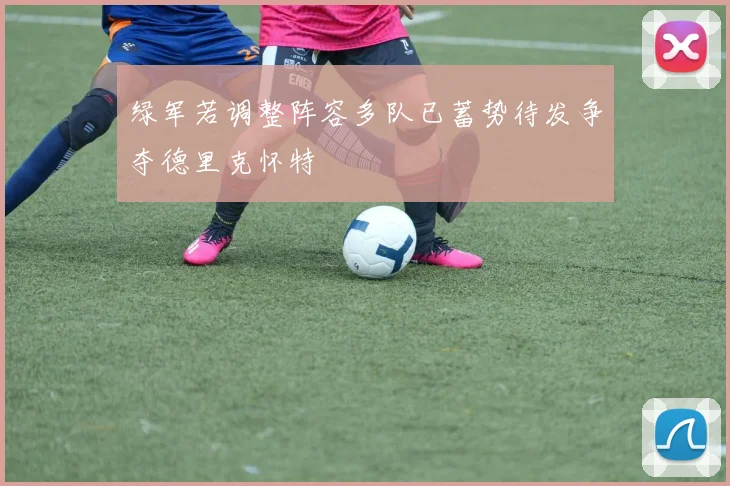 绿军若调整阵容多队已蓄势待发争夺德里克怀特