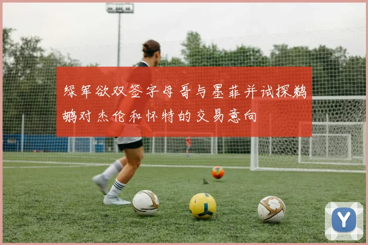 绿军欲双签字母哥与墨菲并试探鹈鹕对杰伦和怀特的交易意向